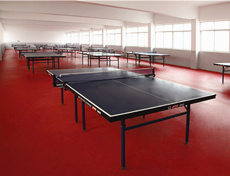 乒乓球pvc地板工程案例